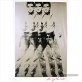 Triple Elvis Andy Warhol